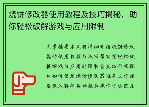 烧饼修改器使用教程及技巧揭秘，助你轻松破解游戏与应用限制